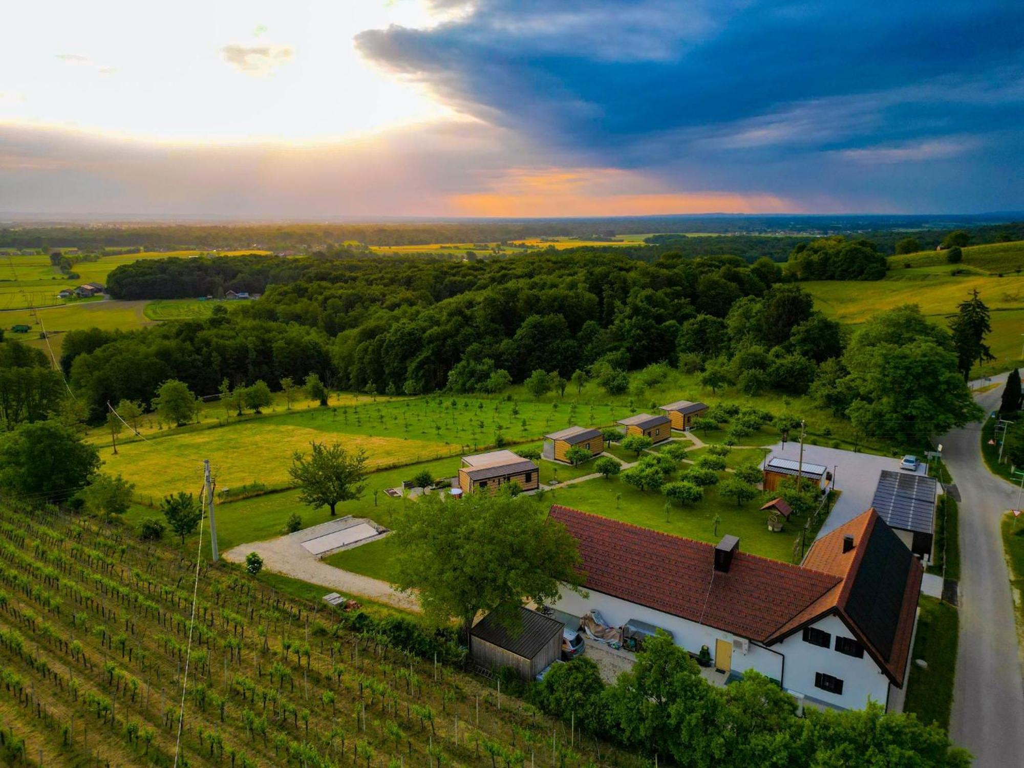 Villa VINEA PANONIKA wine&mind retreat Radenci Exterior foto